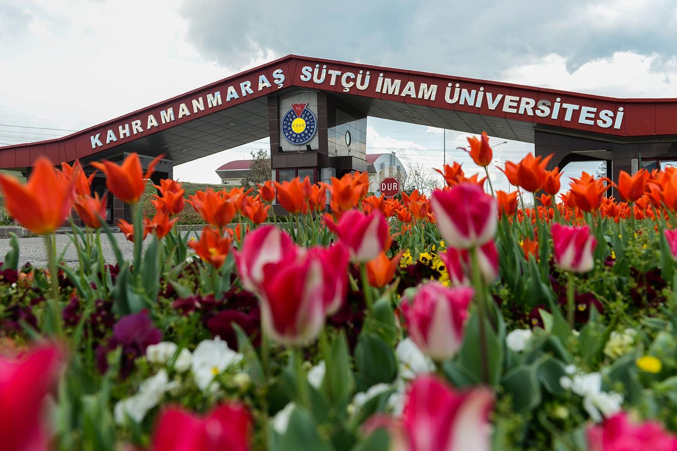 Rehberlik ve Danışmanlık hizmetleri